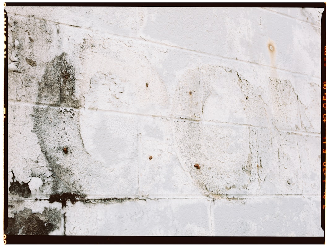 Basement Water Removal service in Flower Mound, TX