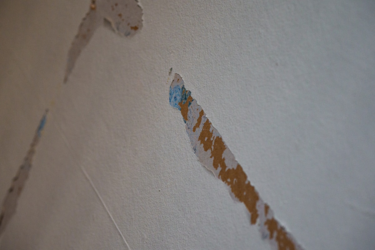 Flood Cleanup service in Flower Mound, TX